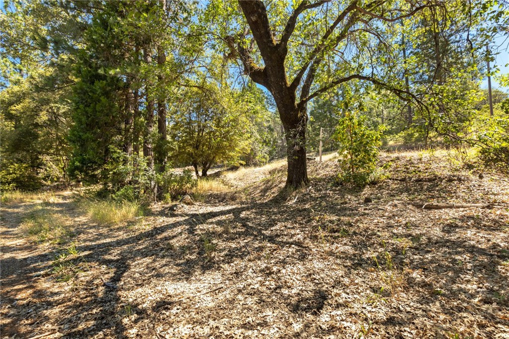 7859 Reed Lane Rackerby, CA 95972 - Photo 16 of 22