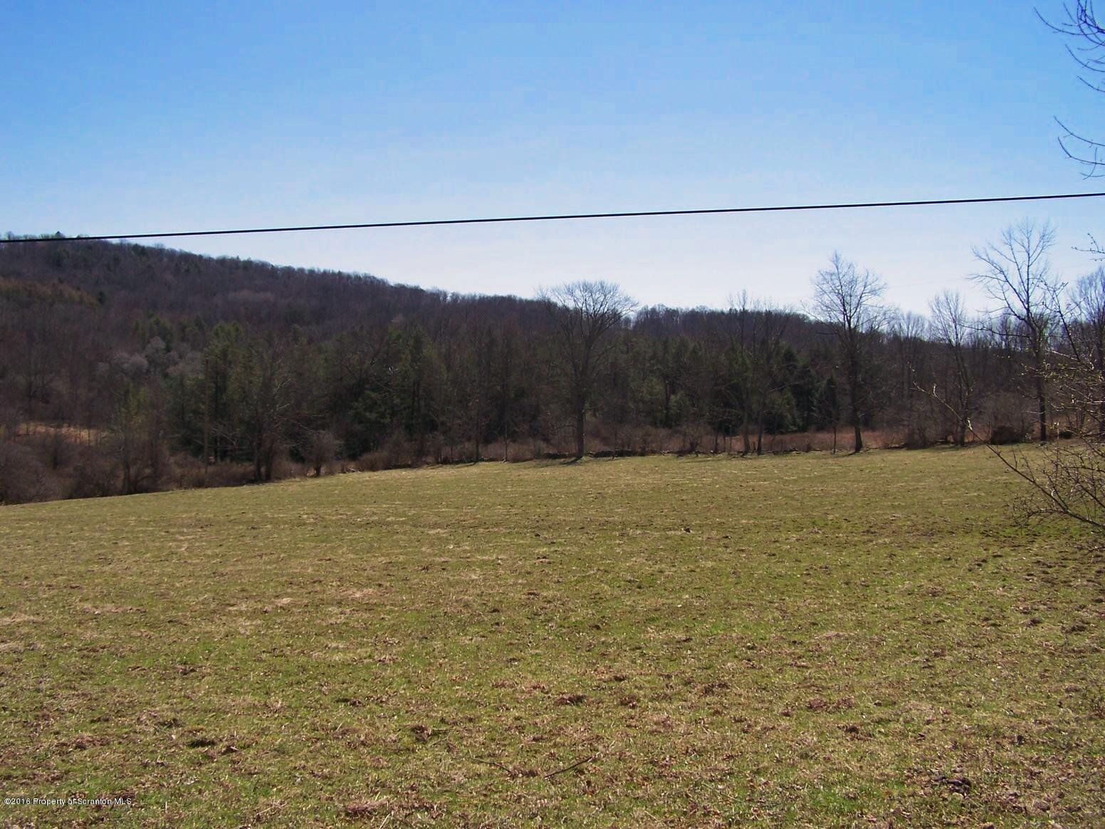 384 State Rte 2024 Montrose, PA 18801 - Photo 13 of 35 a view of a dry yard with mountains in background