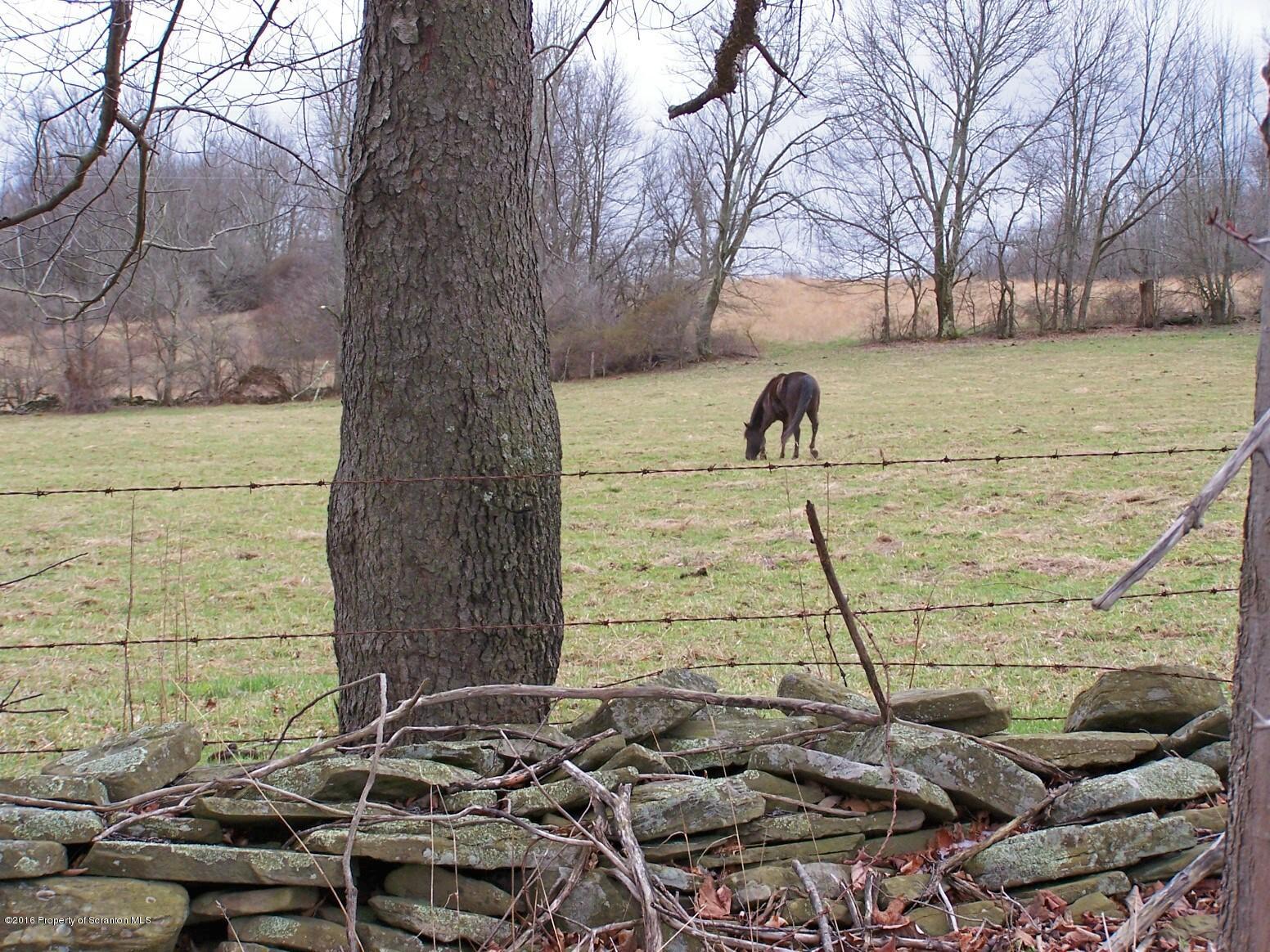 384 State Rte 2024 Montrose, PA 18801 - Photo 28 of 35 a backyard of a house