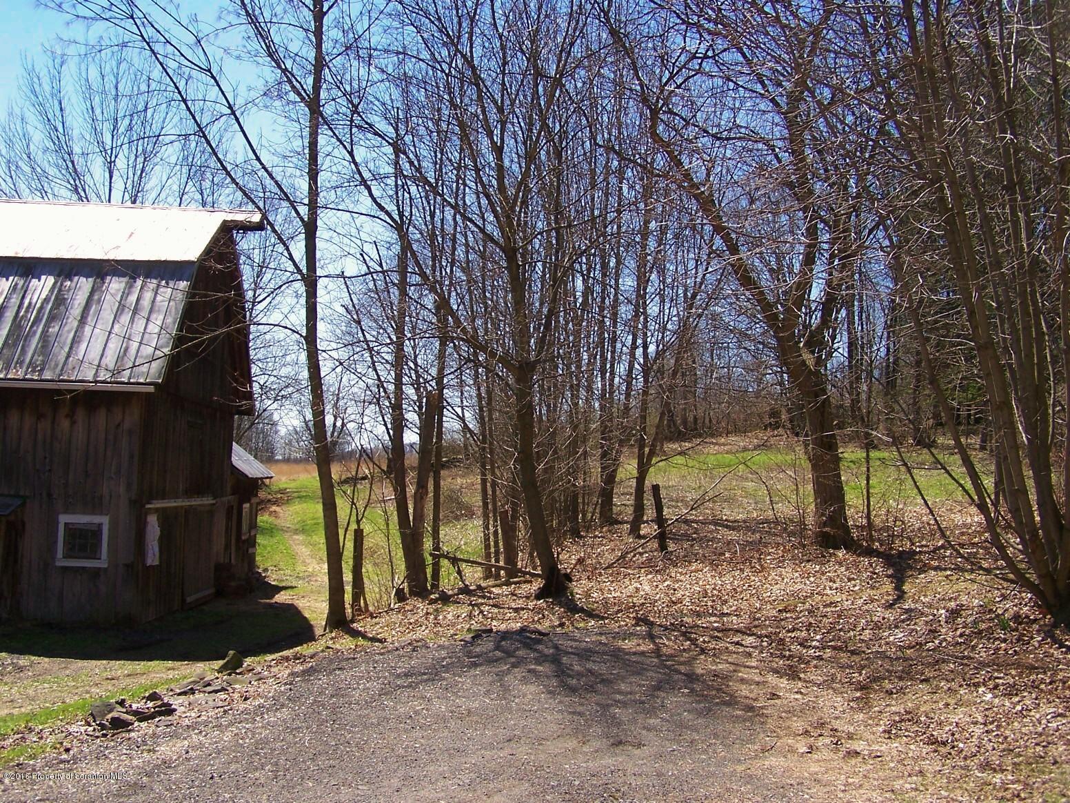 384 State Rte 2024 Montrose, PA 18801 - Photo 32 of 35 a view of backyard with tree