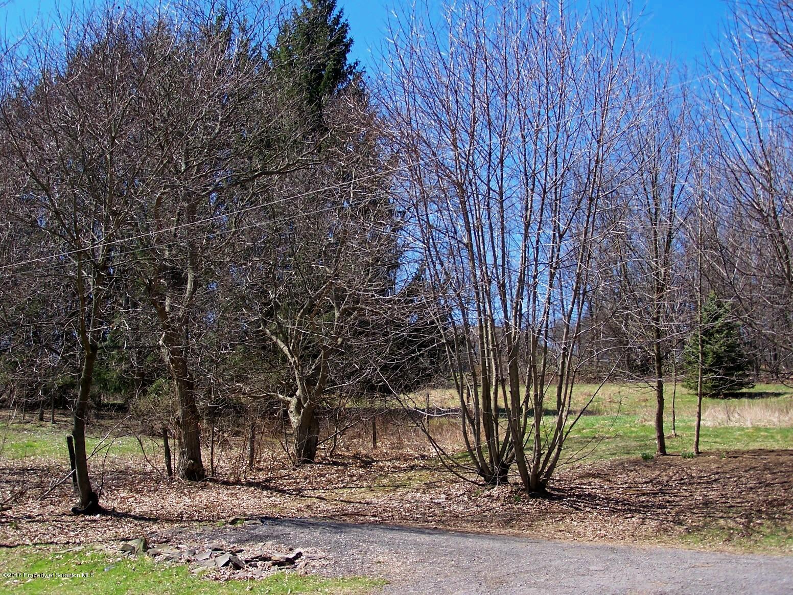 384 State Rte 2024 Montrose, PA 18801 - Photo 8 of 35 a view of a backyard with trees
