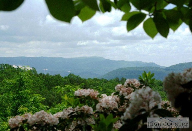 30 A Wilderness Road Hays, NC 28635 - Photo 1 of 15 Gallery Image 1