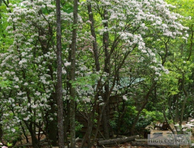 30 A Wilderness Road Hays, NC 28635 - Photo 13 of 15 Gallery Image 13
