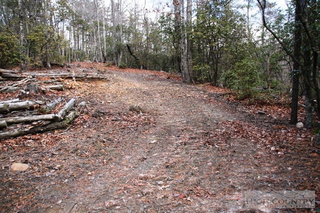 30 A Wilderness Road Hays, NC 28635 - Photo 5 of 15 Gallery Image 5