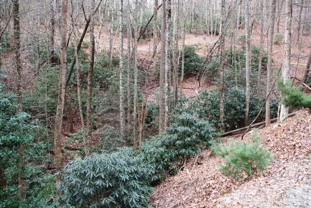 30 A Wilderness Road Hays, NC 28635 - Photo 7 of 15 Gallery Image 7