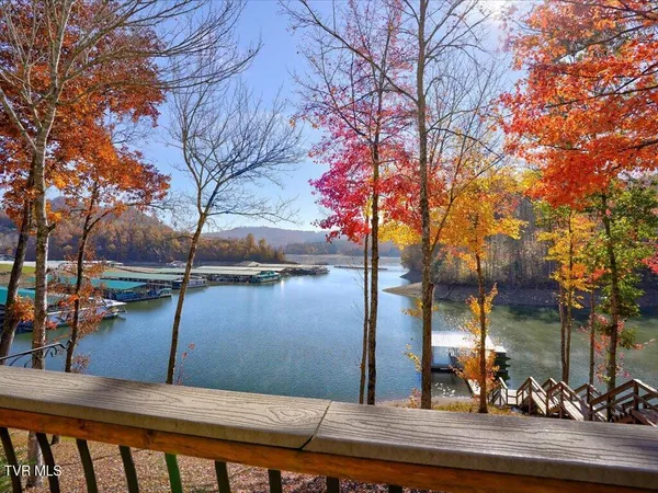 $2,150,000 | 146 Paradise Point, New Tazewell, TN 37825