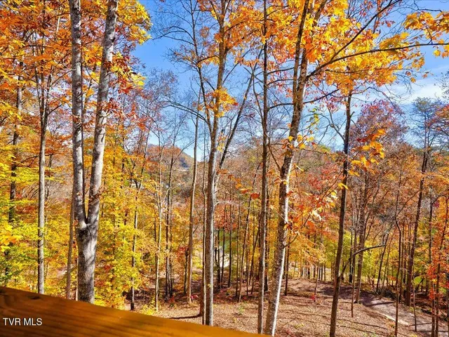 $2,450,000 | 146 Paradise Point, New Tazewell, TN 37825