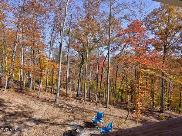 $2,150,000 | 146 Paradise Point, New Tazewell, TN 37825