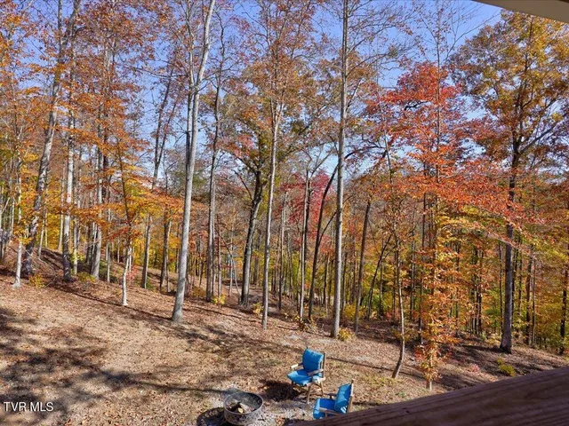 $2,450,000 | 146 Paradise Point, New Tazewell, TN 37825