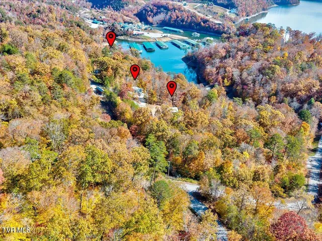 $2,450,000 | 146 Paradise Point, New Tazewell, TN 37825