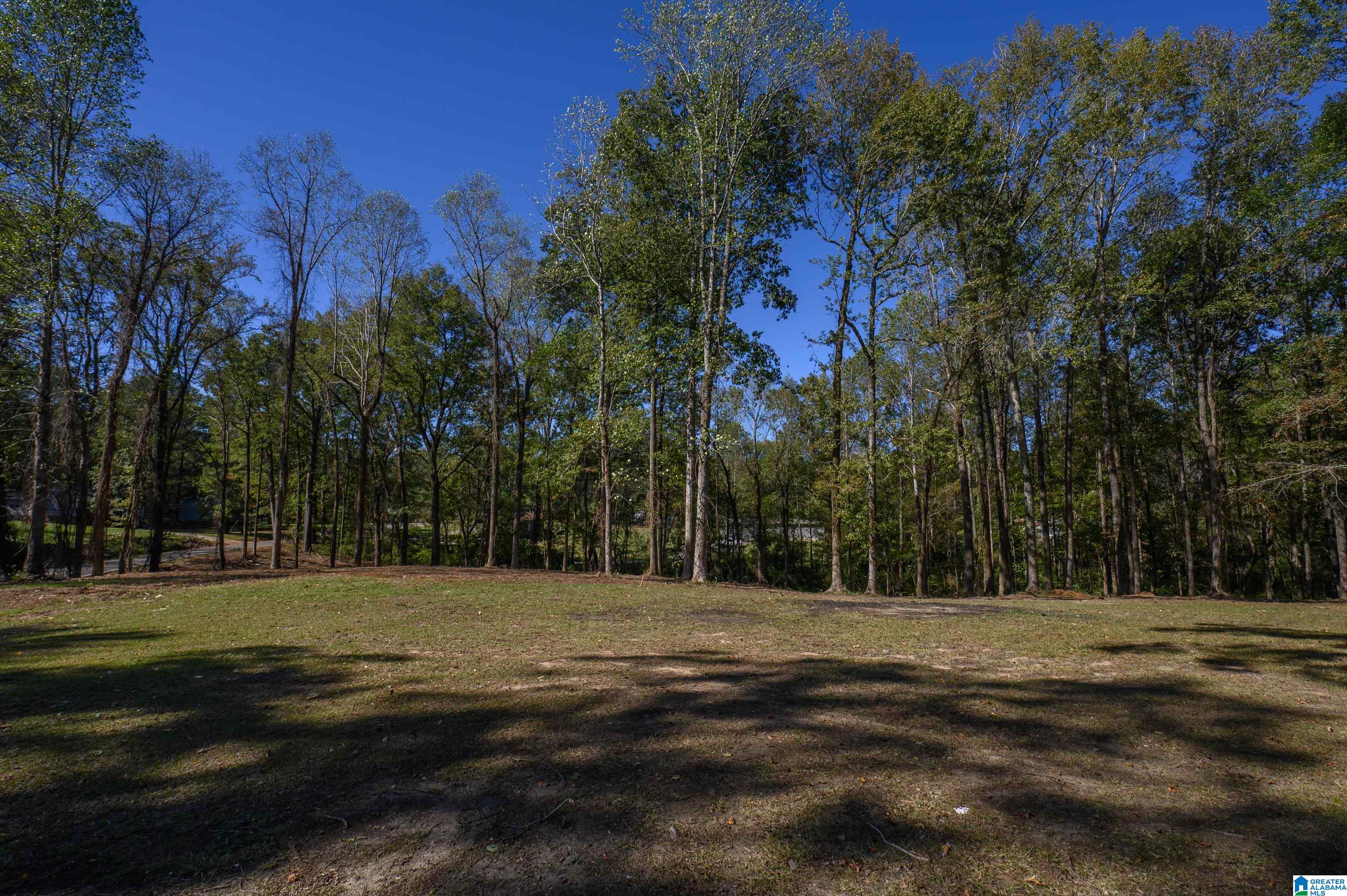 1791 Brookside Road Mount Olive, AL 35117 - Photo 60 of 67