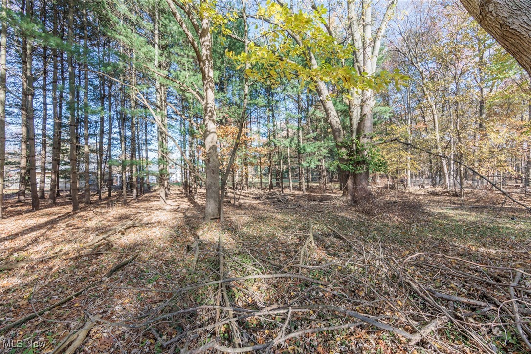 24105 Chardon Road Euclid, OH 44143 - Photo 46 of 50