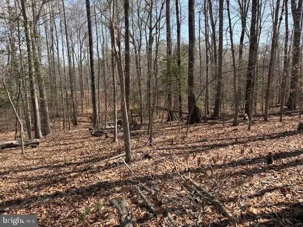 $300,000 | 105 Chimney Swift Road, Fredericksburg, VA 22406