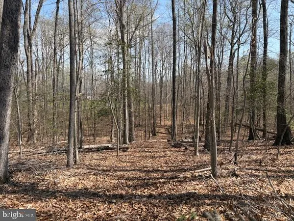 $300,000 | 105 Chimney Swift Road, Fredericksburg, VA 22406