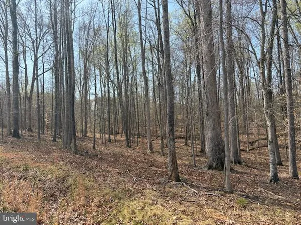 $300,000 | 105 Chimney Swift Road, Fredericksburg, VA 22406