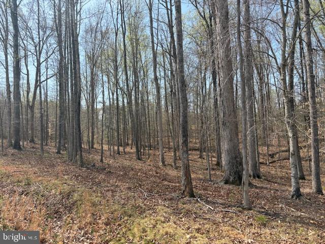 105 Chimney Swift Road Fredericksburg, VA 22406 - Photo 5 of 13