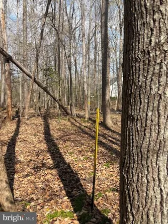 $300,000 | 105 Chimney Swift Road, Fredericksburg, VA 22406