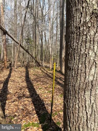 $300,000 | 105 Chimney Swift Road, Fredericksburg, VA 22406