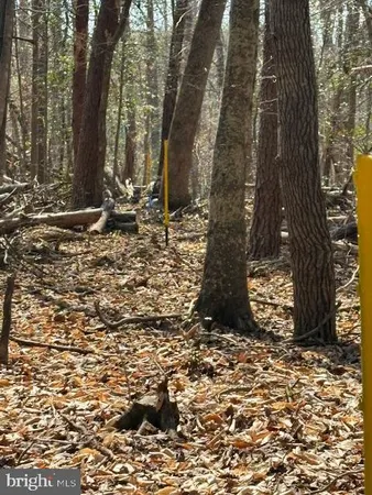 $300,000 | 105 Chimney Swift Road, Fredericksburg, VA 22406