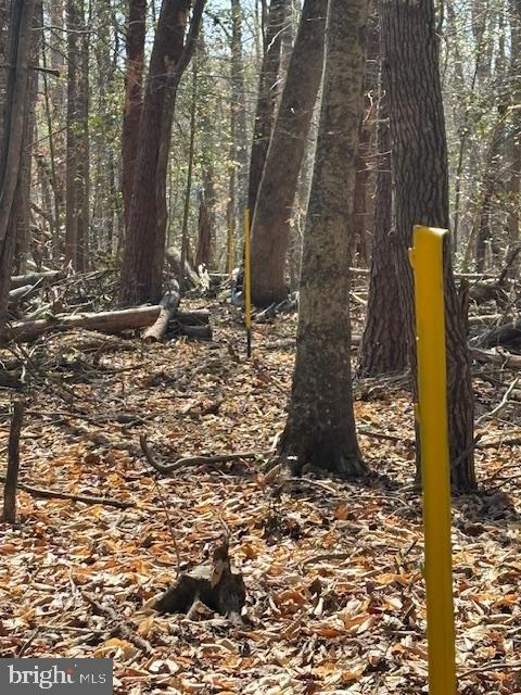 105 Chimney Swift Road Fredericksburg, VA 22406 - Photo 9 of 13