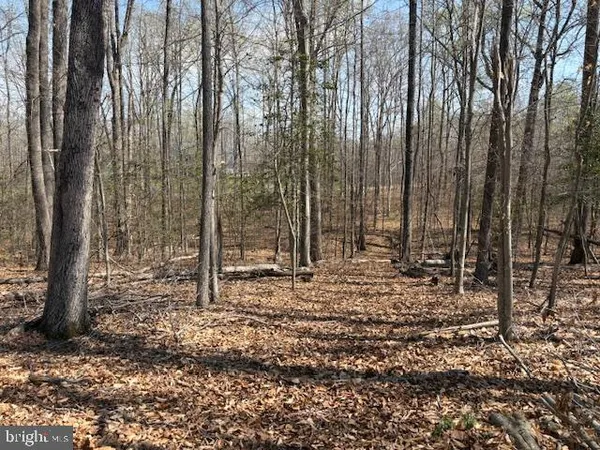 $300,000 | 105 Chimney Swift Road, Fredericksburg, VA 22406