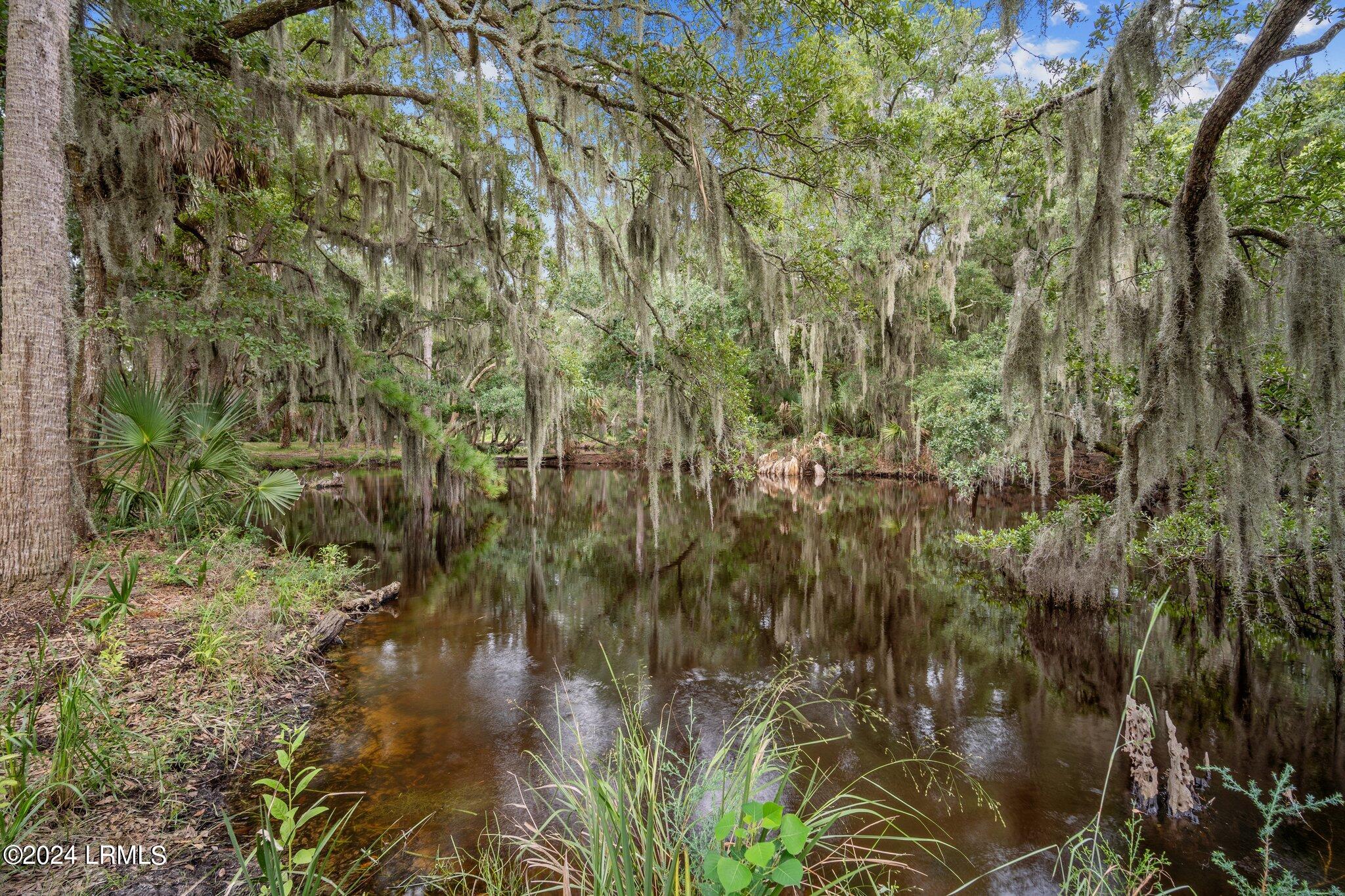 51 West Cedar Road St. Helena Island, SC 29920 - Photo 36 of 49 70-web-or-mls-DSC08087