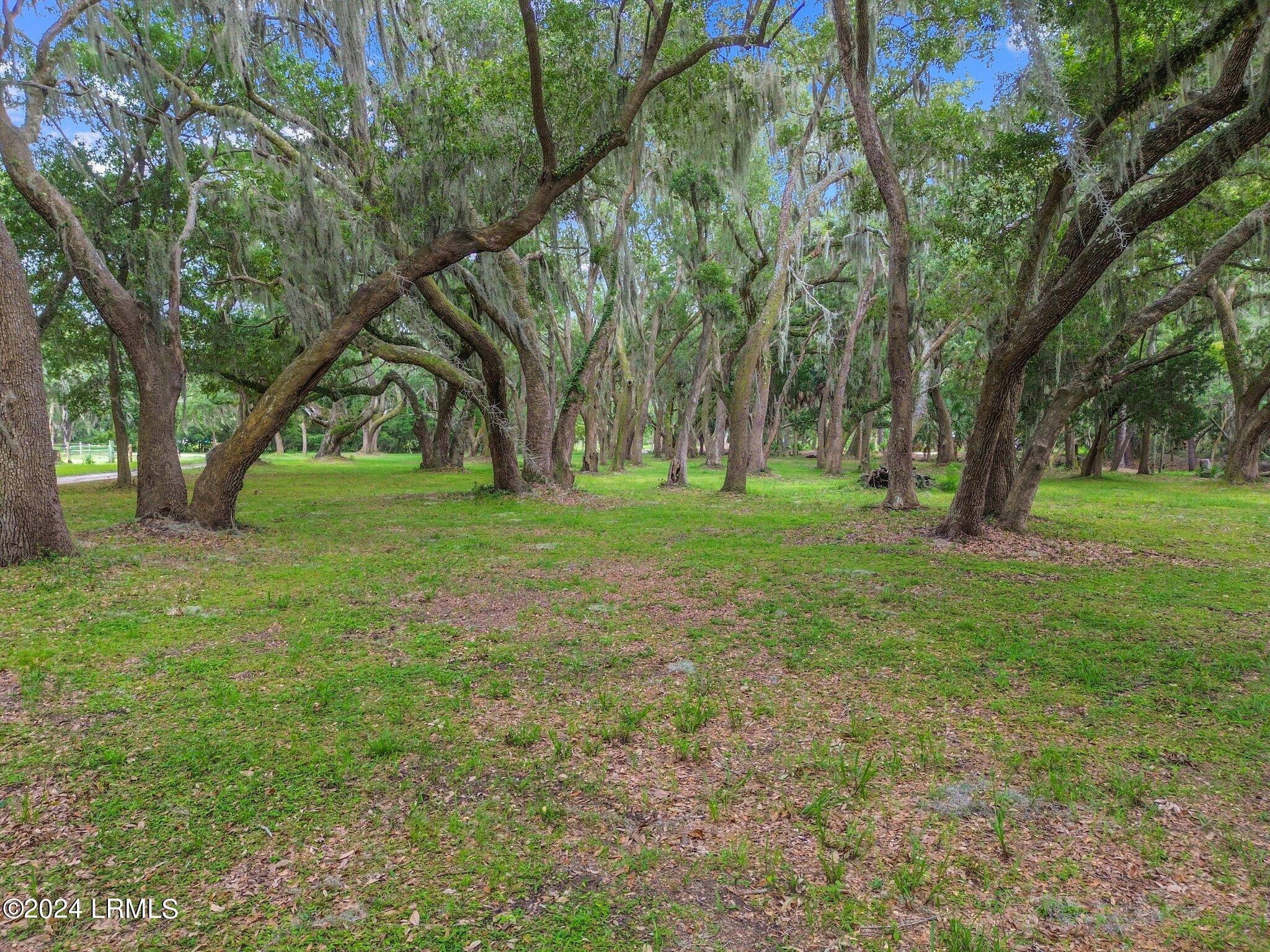 51 West Cedar Road St. Helena Island, SC 29920 - Photo 38 of 49 3-web-or-mls-DJI_0932