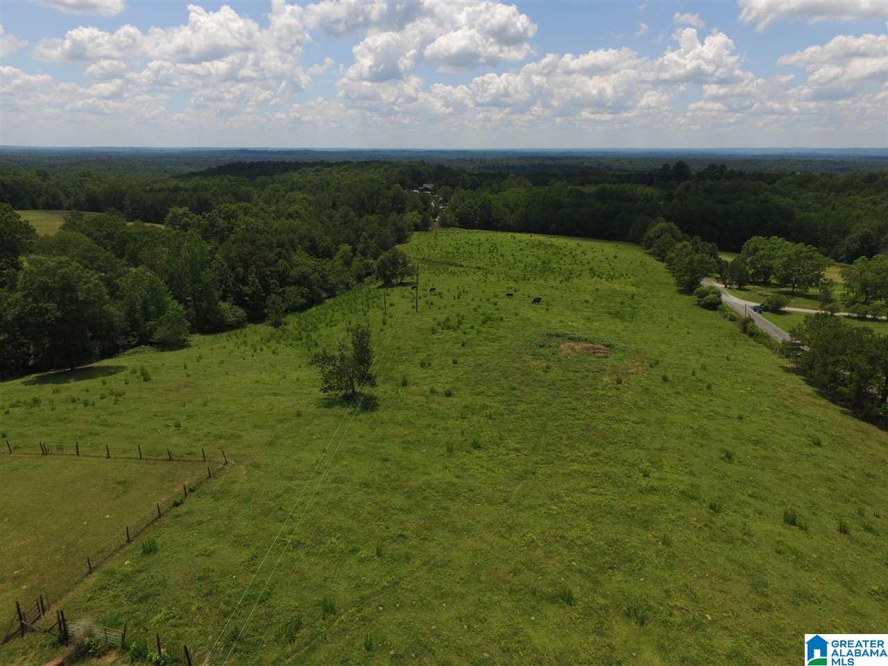 1900 Kiowa Road Remlap, AL 35133 - Photo 2 of 36