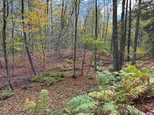 $50,000 | 0 Windmill Hill Road North, Putney, VT 05346