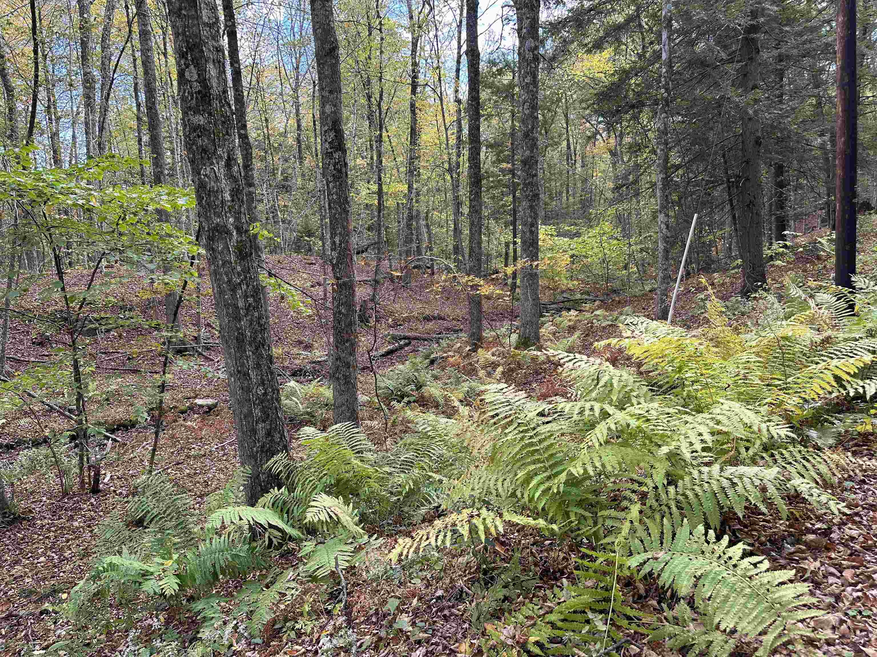 0 Windmill Hill Road North Putney, VT 05346 - Photo 2 of 4