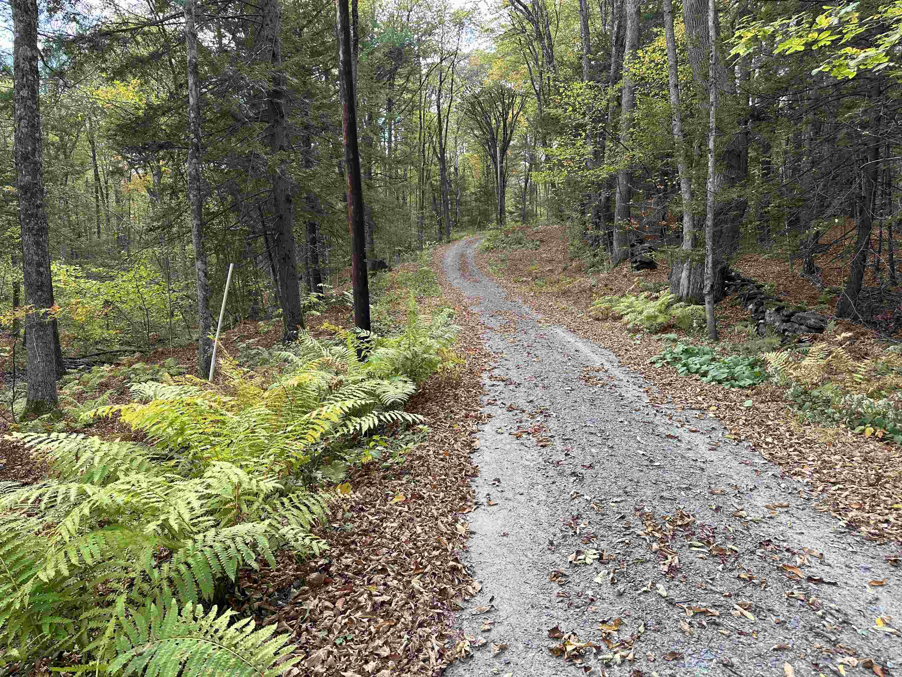 0 Windmill Hill Road North Putney, VT 05346 - Photo 3 of 4