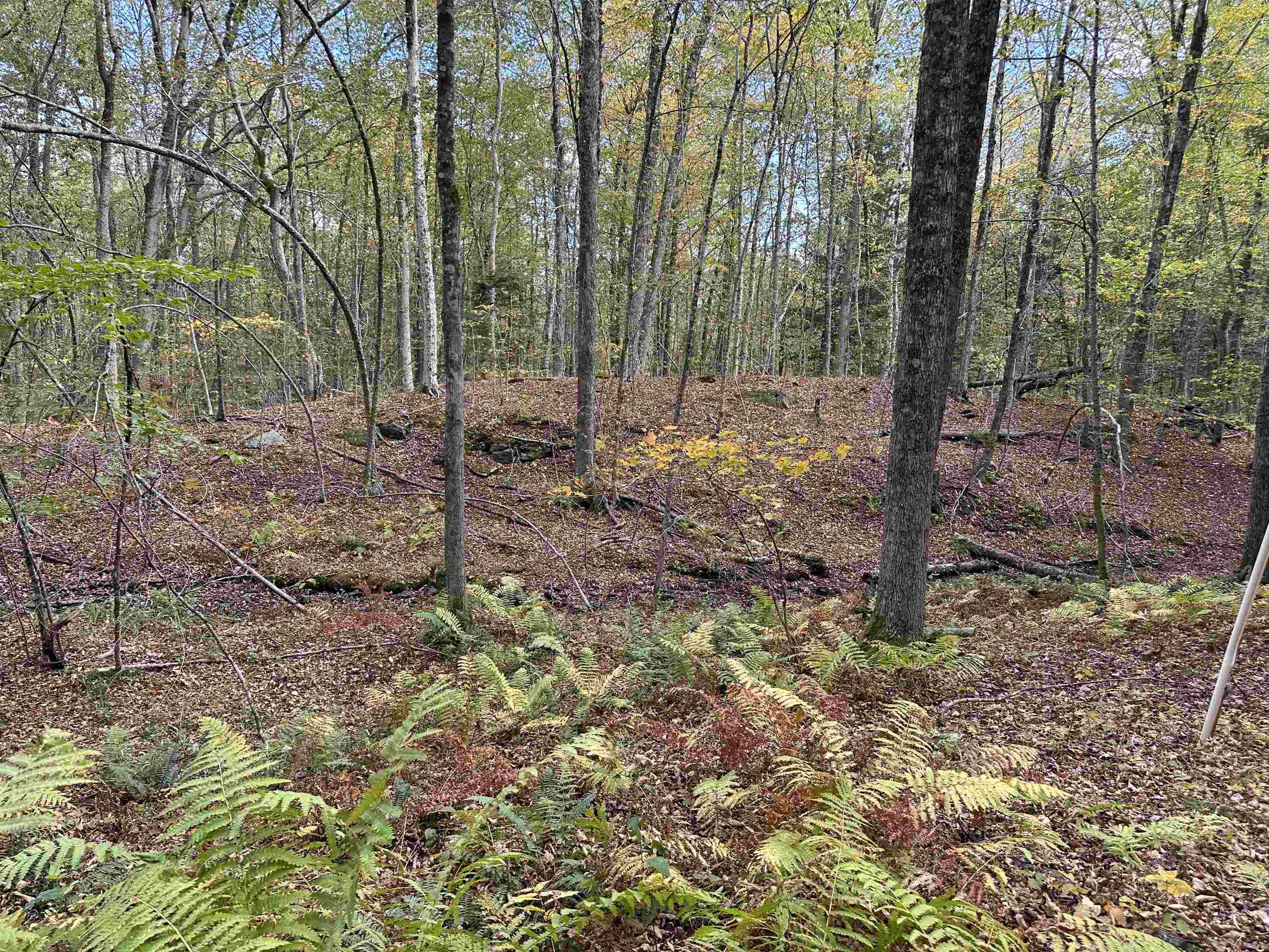 0 Windmill Hill Road North Putney, VT 05346 - Photo 4 of 4