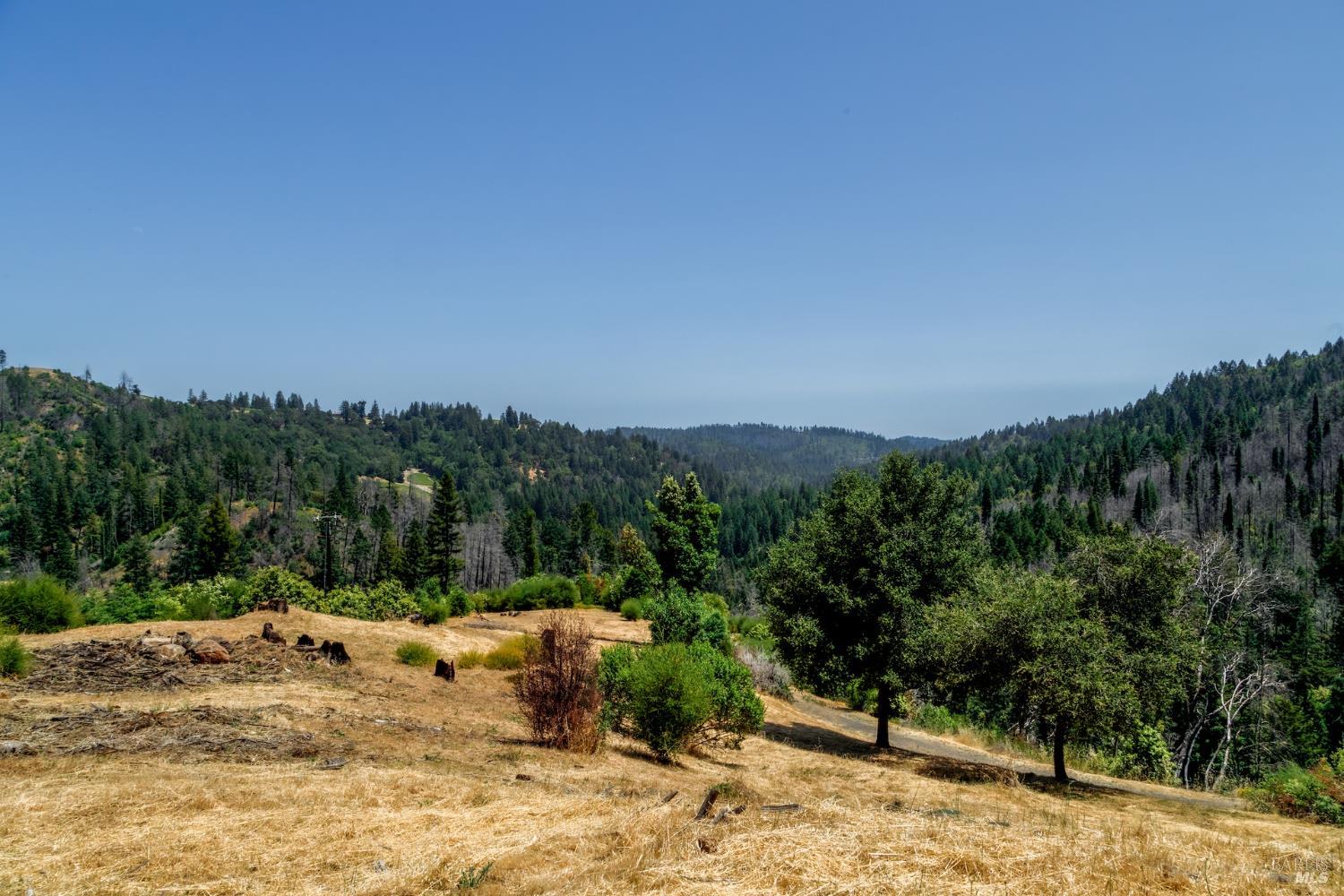 6600 Mill Creek Road Healdsburg, CA 95448 - Photo 1 of 26 a view of a dry yard with a tree