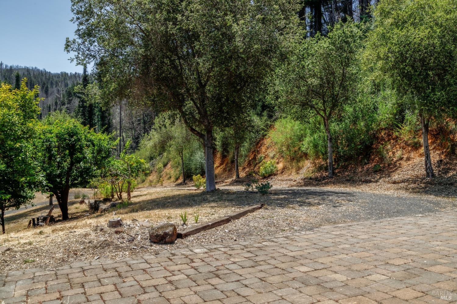 6600 Mill Creek Road Healdsburg, CA 95448 - Photo 11 of 26 a view of backyard with tree
