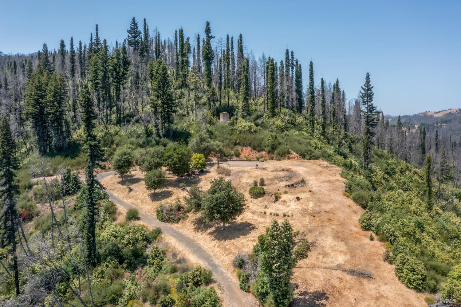 6600 Mill Creek Road Healdsburg, CA 95448 - Photo 14 of 26 a view of a lot of trees with houses
