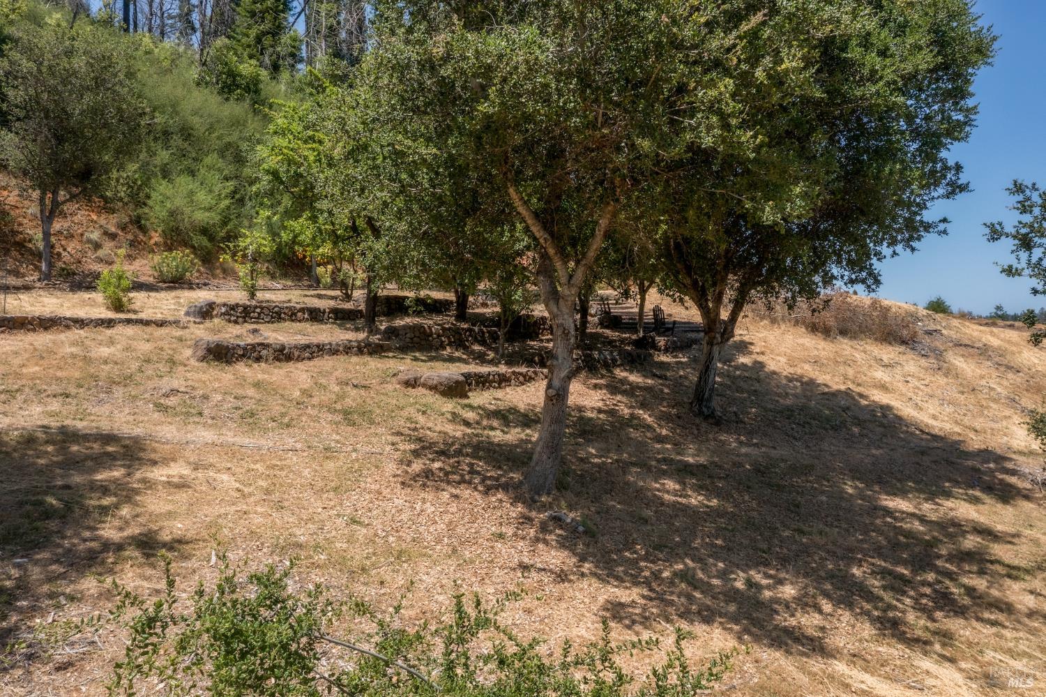 6600 Mill Creek Road Healdsburg, CA 95448 - Photo 16 of 26 a view of a forest with trees