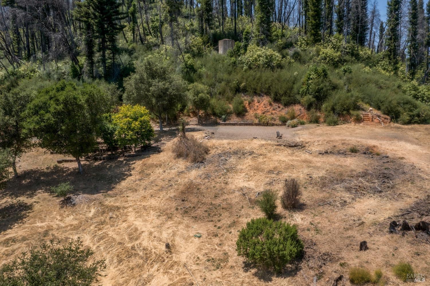 6600 Mill Creek Road Healdsburg, CA 95448 - Photo 19 of 26 a view of a yard with plants and trees