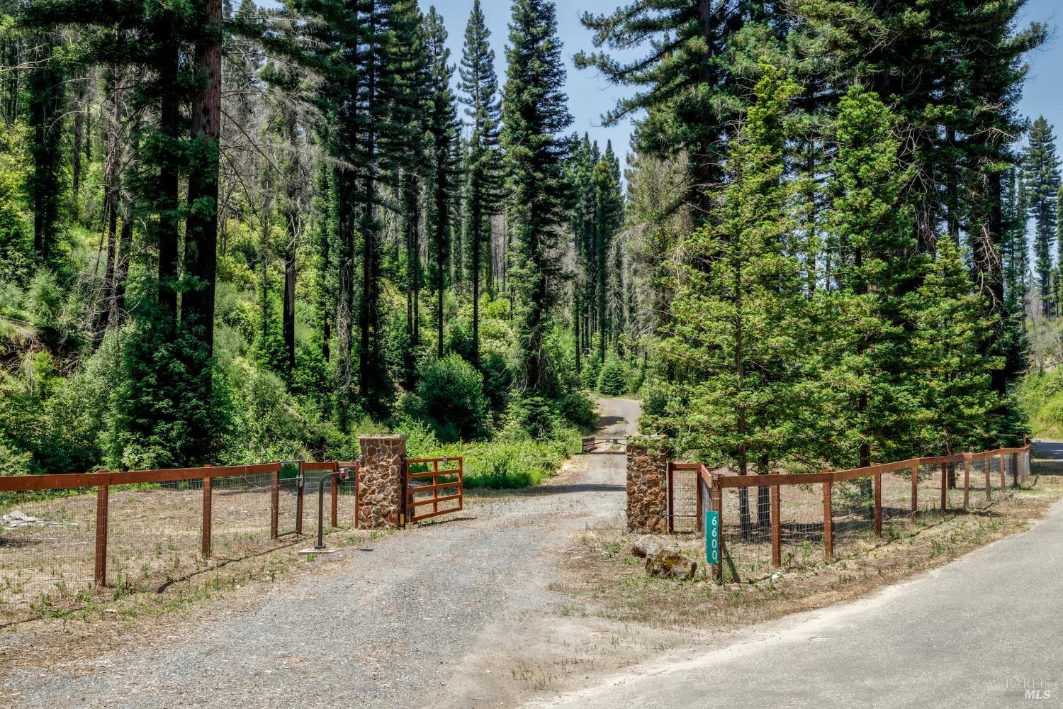 6600 Mill Creek Road Healdsburg, CA 95448 - Photo 5 of 26 a view of a park with large trees