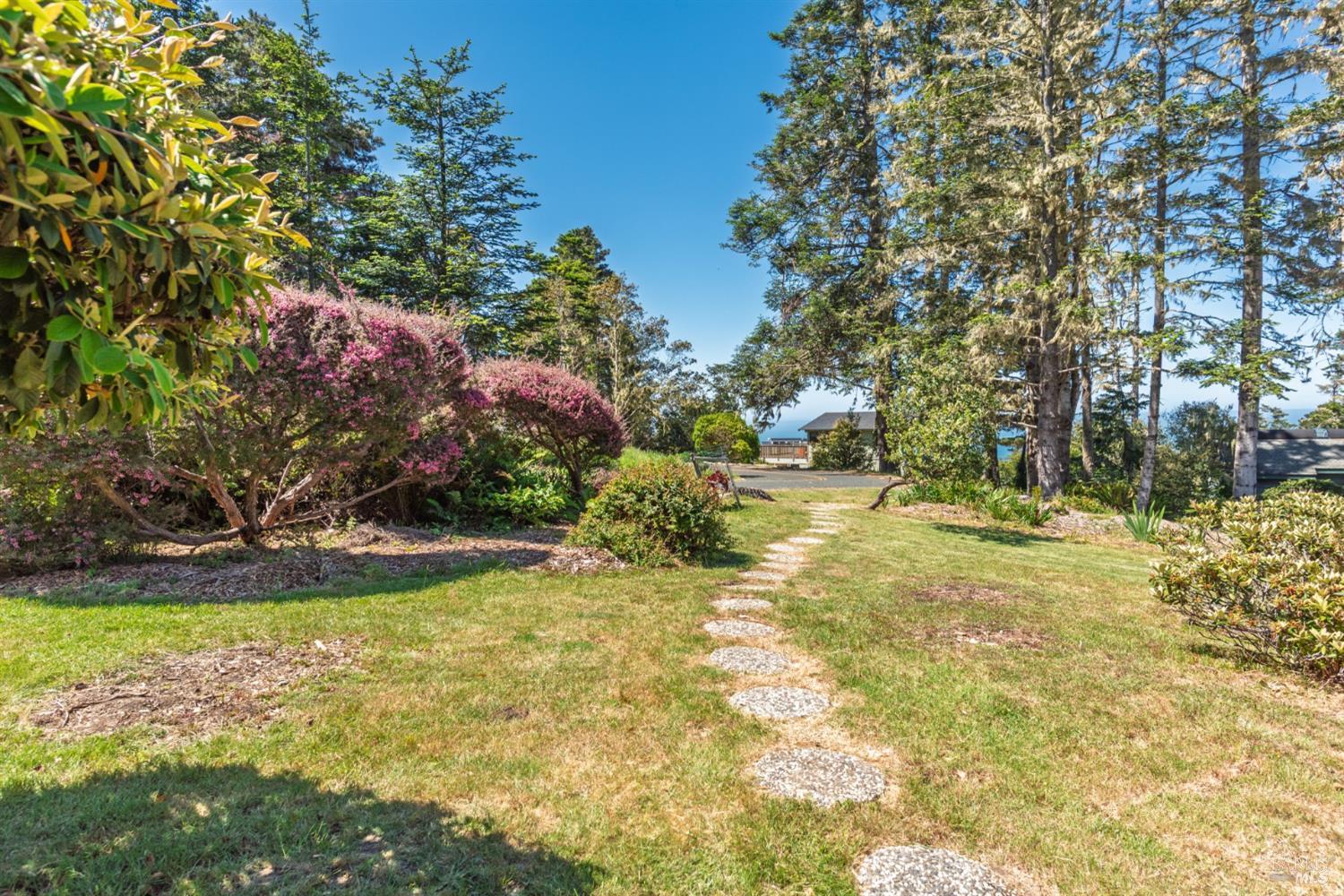 15721 Forest View Road Manchester, CA 95459 - Photo 9 of 50 Beautiful trees and walking spaces...