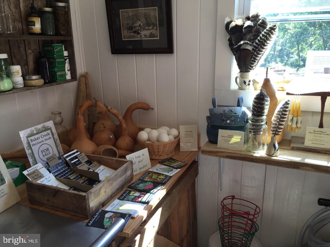 3085 Indian Run Road Amissville, VA 20106 - Photo 56 of 132 Farm Store