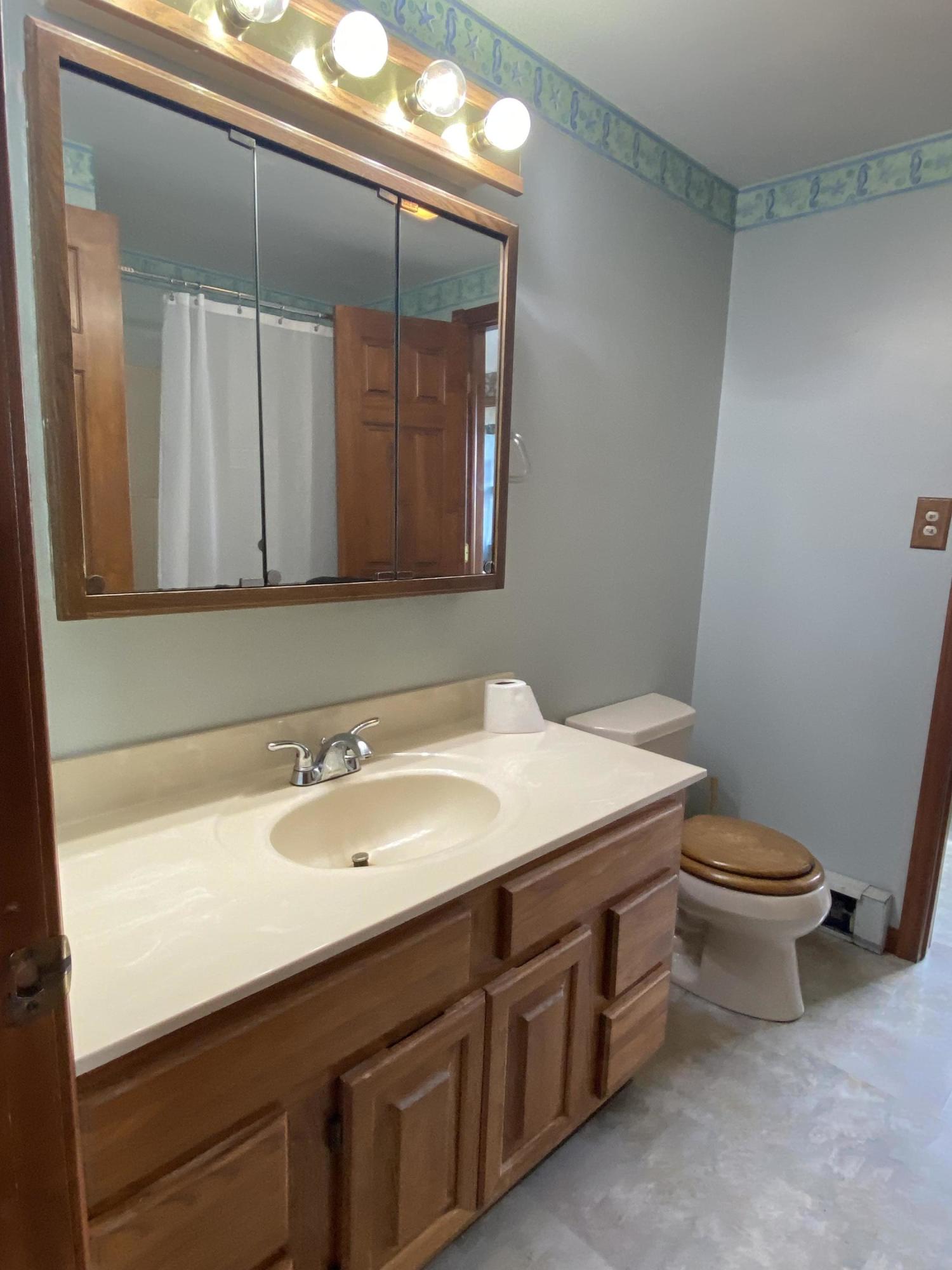 8751 South Edon Road Reading, MI 49274 - Photo 18 of 35 8751 S Edon (10)