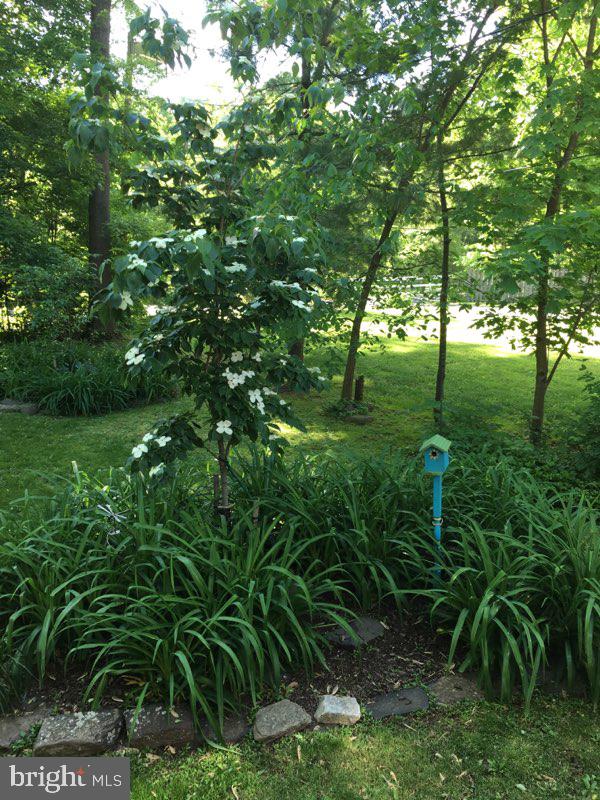 396 Mountain View Road Skillman, NJ 08558 - Photo 22 of 23 Gardens in Summer