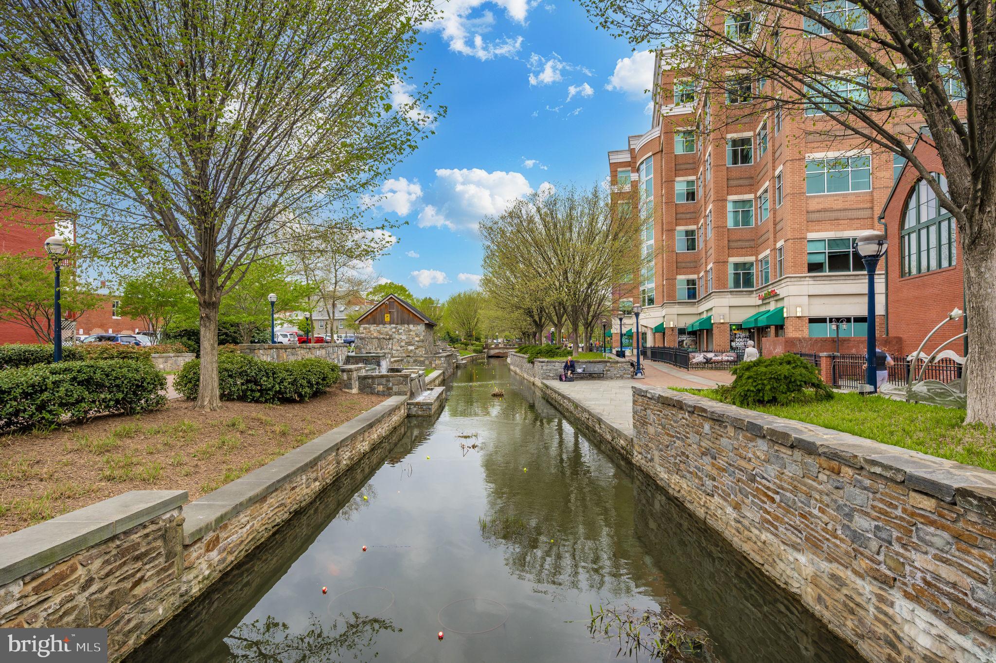 230 South Market Street, Unit 3 Frederick, MD 21701 - Photo 22 of 22 a city view with tall buildings and a large tree