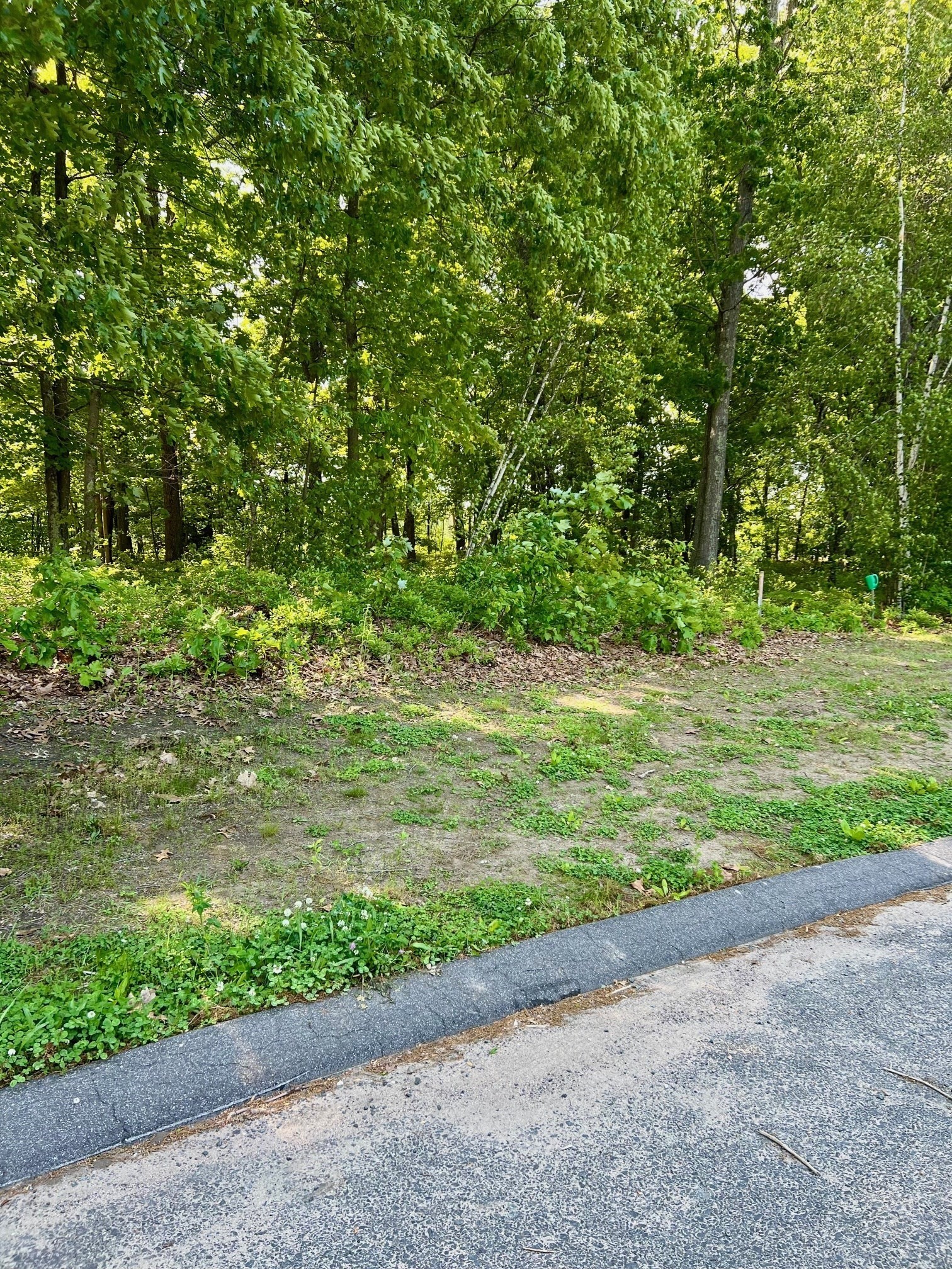 0 Hyde Road West Springfield, MA 01089 - Photo 3 of 5 Gallery Image 3