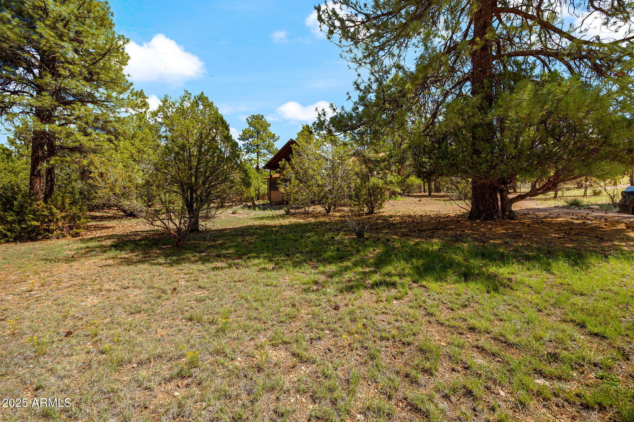 2240 Roundabout Way Overgaard, AZ 85933 - Photo 2 of 47 a backyard of a house with lots of green space