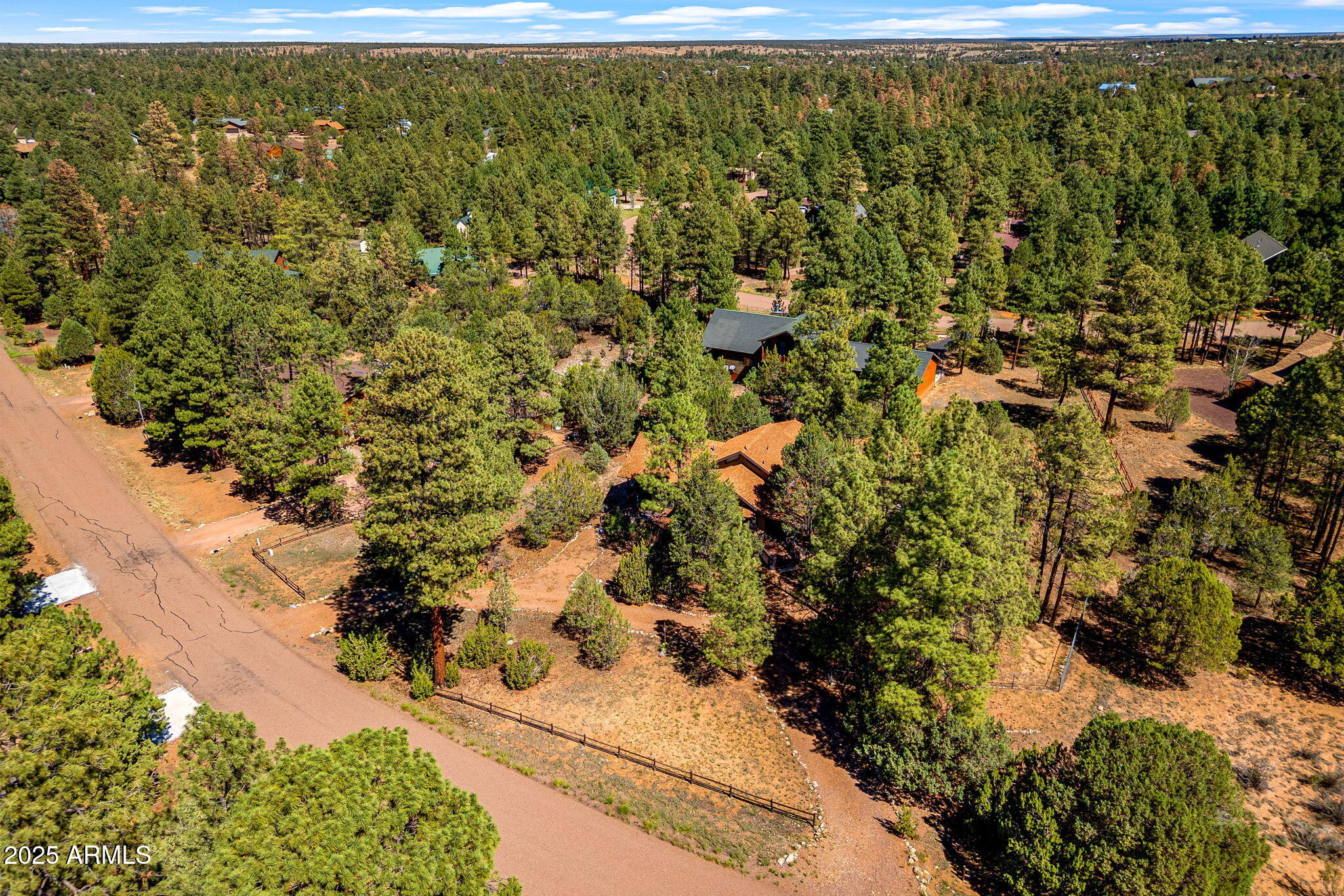 2240 Roundabout Way Overgaard, AZ 85933 - Photo 36 of 47 a view of a yard with a tree