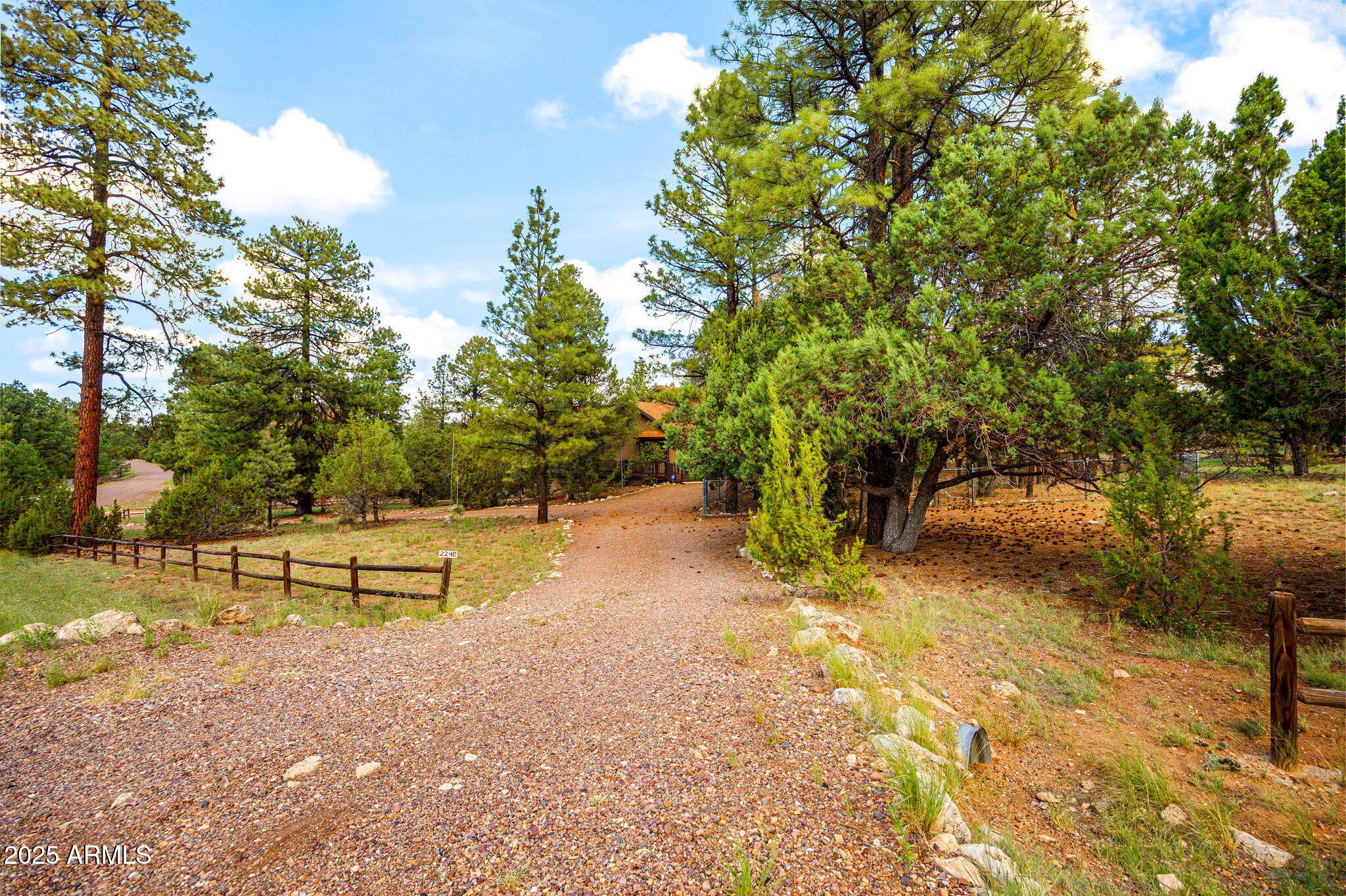2240 Roundabout Way Overgaard, AZ 85933 - Photo 3 of 47 a view of outdoor space and yard