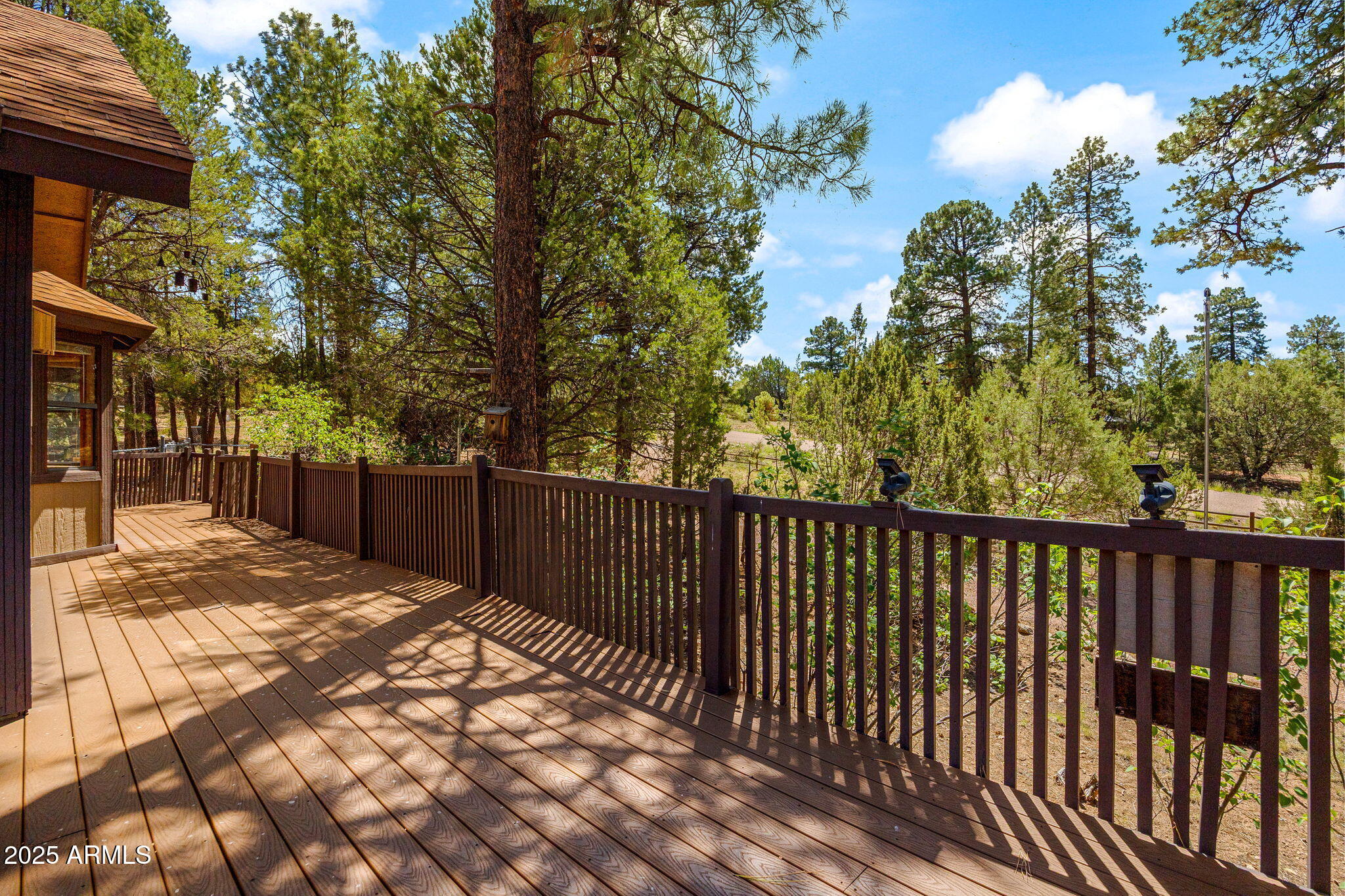 2240 Roundabout Way Overgaard, AZ 85933 - Photo 4 of 47 a view of backyard with wooden fence