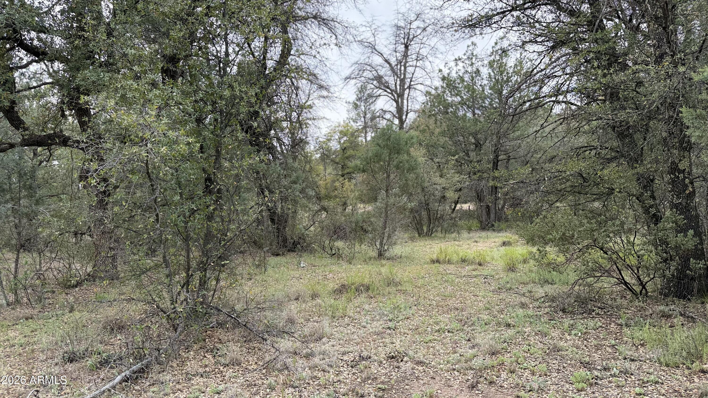 117 Rifle Barrel Road, Unit 41 Young, AZ 85554 - Photo 2 of 5