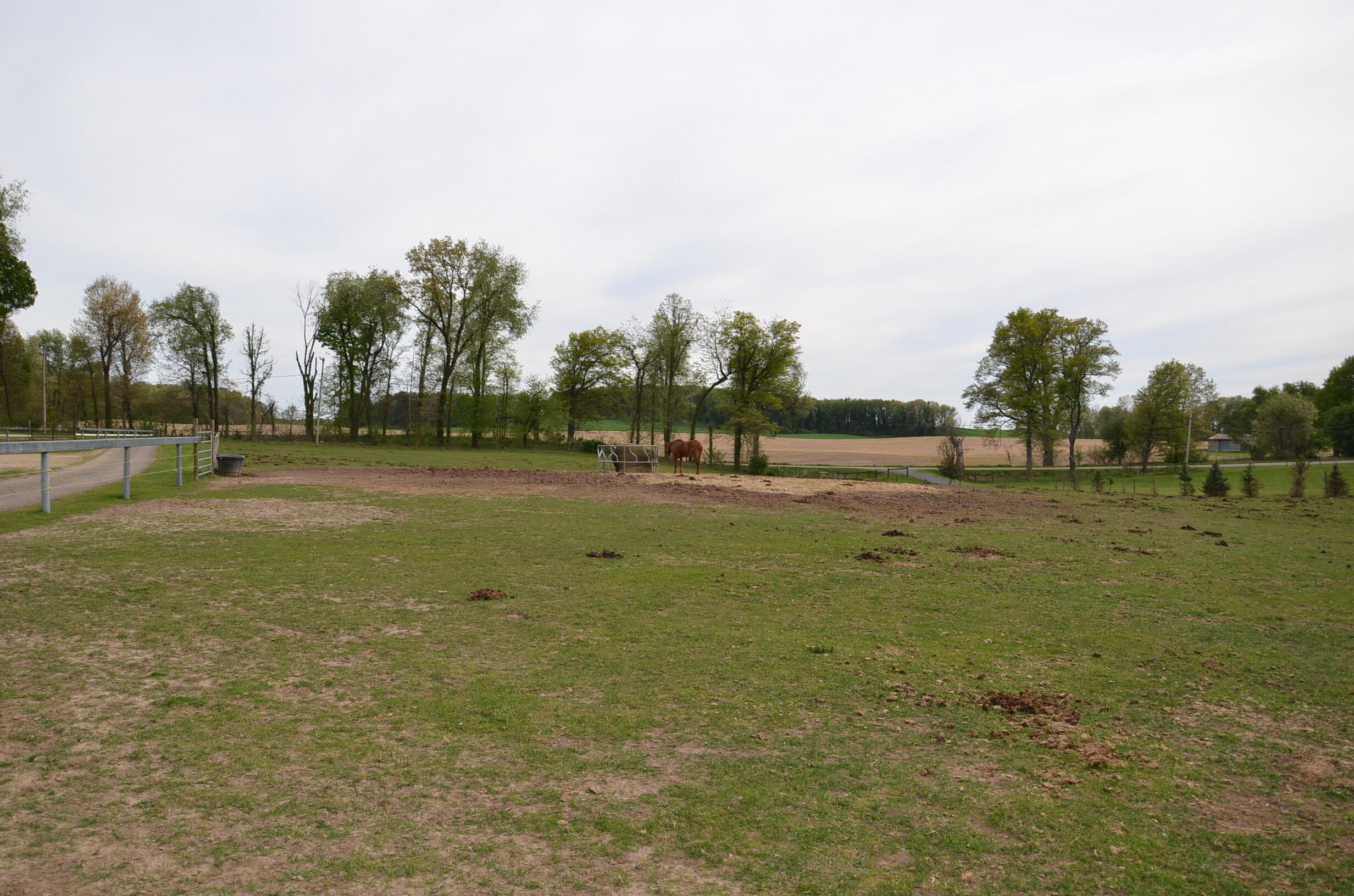 11475 Gorsline Road Battle Creek, MI 49014 - Photo 61 of 72 Horse Pasture 1